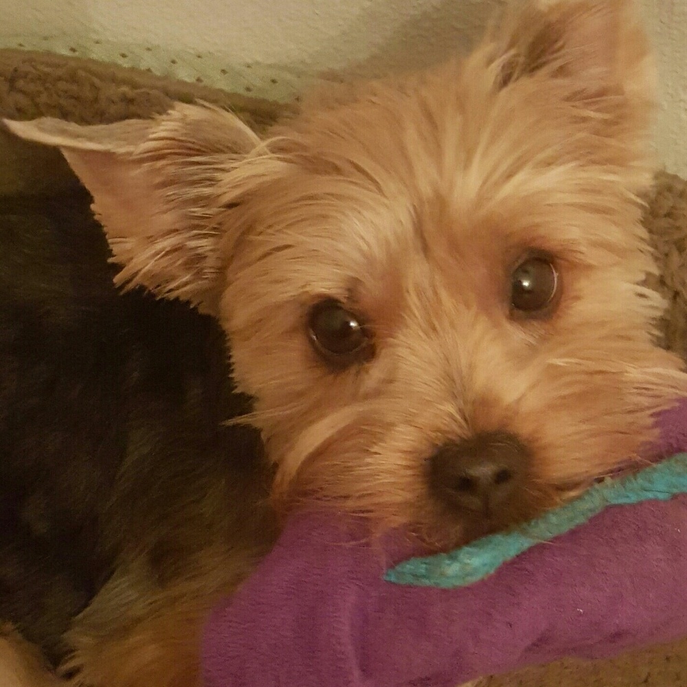 Meet your Posher, Tammy